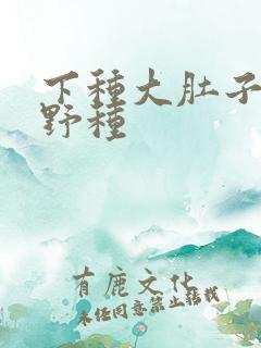 下种大肚子怀孕野种