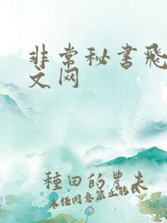 非常秘书飞速中文网