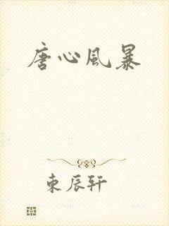 唐心风暴