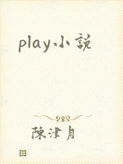 play小说