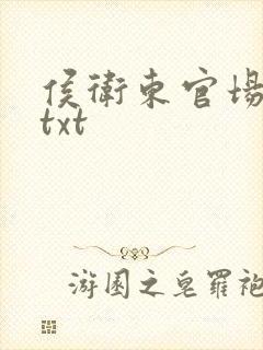 侯卫东官场笔记txt