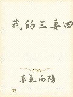 我的三妻四妾