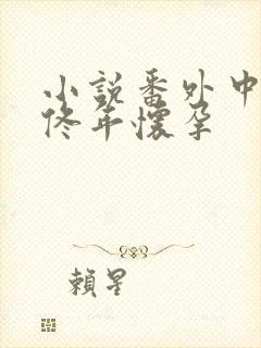 小说番外中结局佟年怀孕