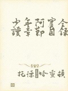 少年阿宾全文阅读章节目录