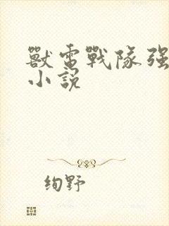 兽电战队强龙者小说