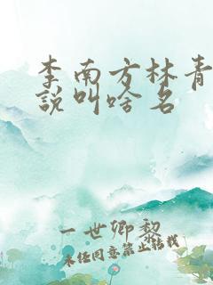 李南方林青青小说叫啥名