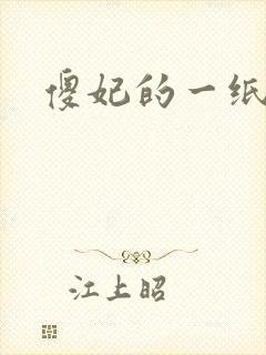 傻妃的一纸休书