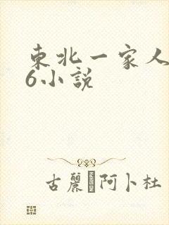 东北一家人1一6小说