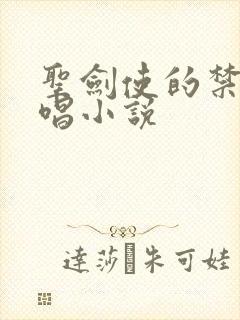 圣剑使的禁咒咏唱小说