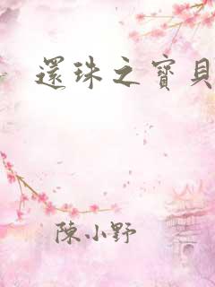 还珠之宝贝计划