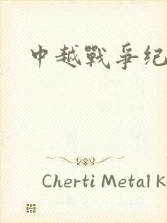 中越战争纪实录