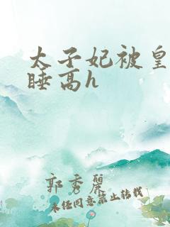 太子妃被皇上强睡高h