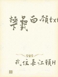 极品白领txt下载