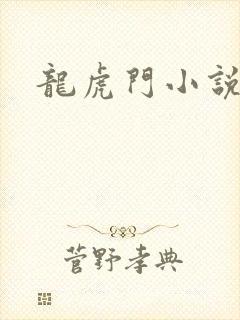 龙虎门小说