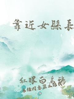 靠近女县长
