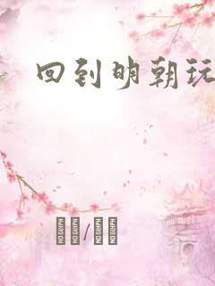 回到明朝玩网游