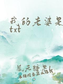 我的老婆是警察txt