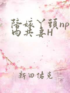 陪嫁丫头np全肉共妻H