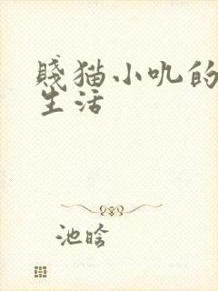 贱猫小叽的幸福生活