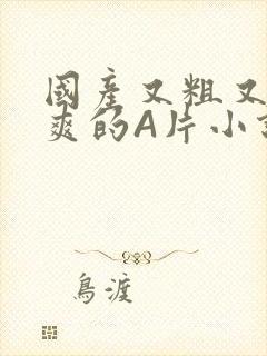 国产又粗又黄又爽的A片小说