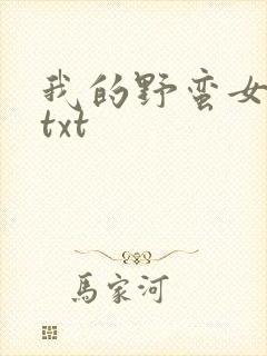 我的野蛮女上司txt