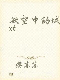 欲望中的城市txt