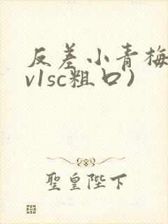 反差小青梅(1v1sc粗口)