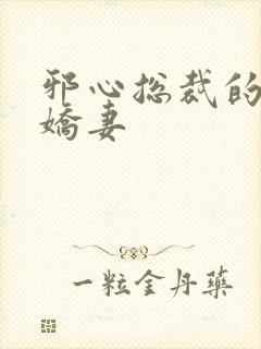 邪心总裁的纯情娇妻