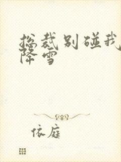 总裁别碰我 韩降雪