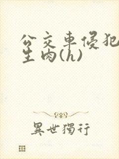 公交车侵犯小男生肉(h)