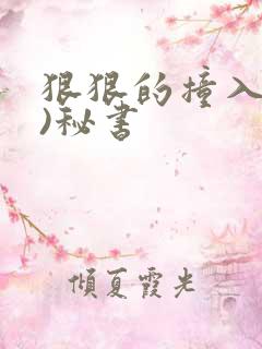 狠狠的撞入(h)秘书