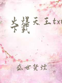 火爆天王txt下载