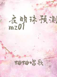 夜明珠预测 ymz01