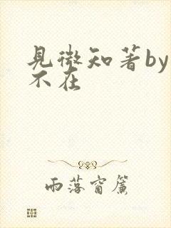 见微知著by音不在