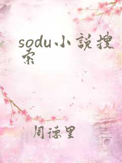 sodu小说搜索