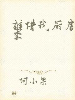 谁借我厨房第二季