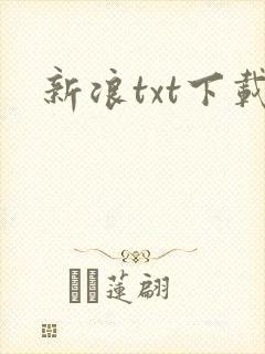 新浪txt下载