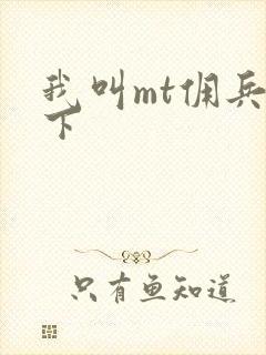 我叫mt佣兵天下