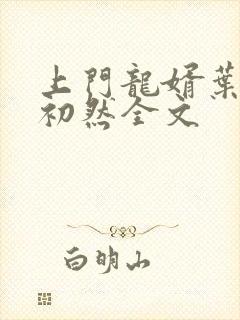 上门龙婿叶辰萧初然全文