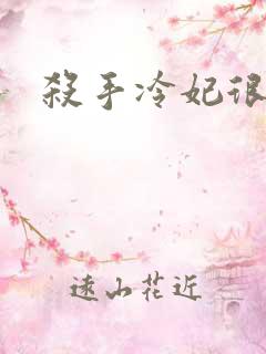 杀手冷妃很腹黑