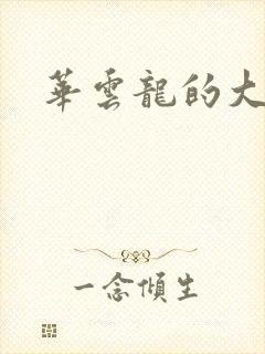 华云龙的大宝贝