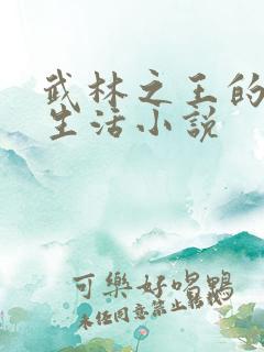 武林之王的退隐生活小说