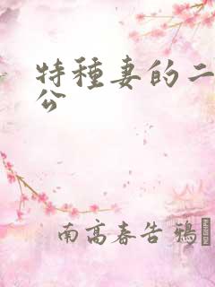 特种妻的二手老公