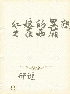 红娘的异想世界之在西厢
