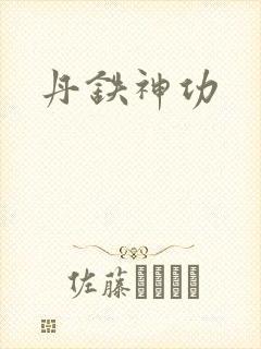 丹铁神功