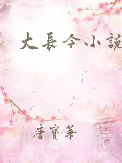 大长今小说下载