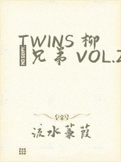 TWINS 柳澤兄弟 VOL.2
