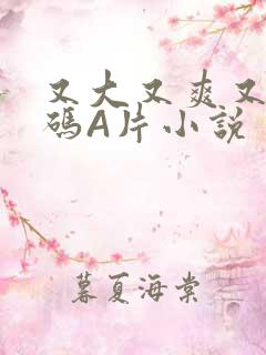 又大又爽又黄无码A片小说