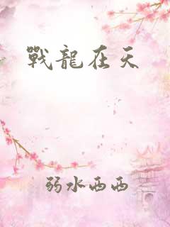 战龙在天