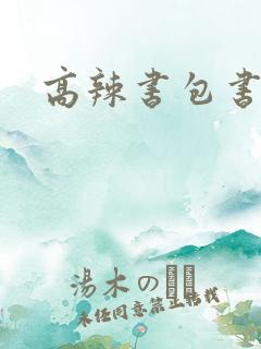 高辣书包书包网